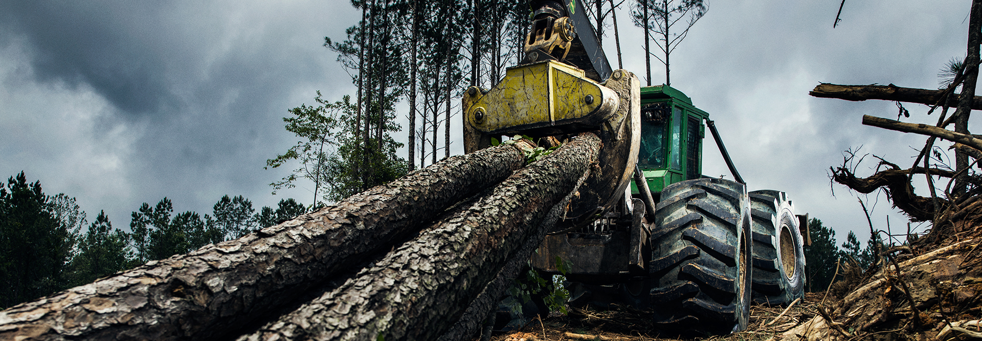 nokian logger king ls
