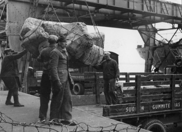 Suomen Gummitehdas hankki viljeltyä luonnonkumia Etelä-Amerikasta ja Kaakkois-Aasiasta. Kumipuu on peräisin Amazon-joelta.