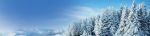 Hakka Stories -- A Nokian Tyres Blog